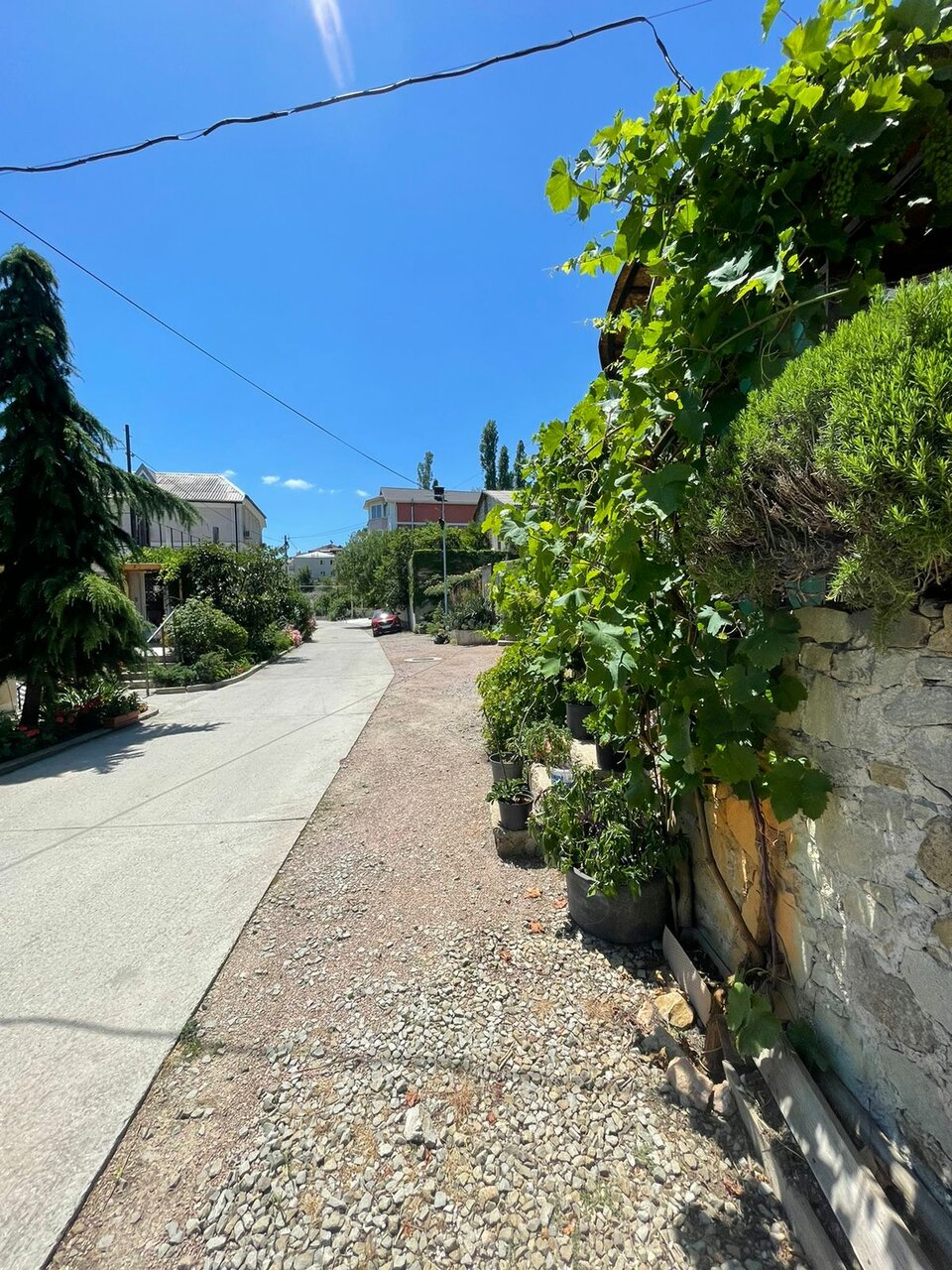 Гостевой дом Горный Воздух Ялта-19