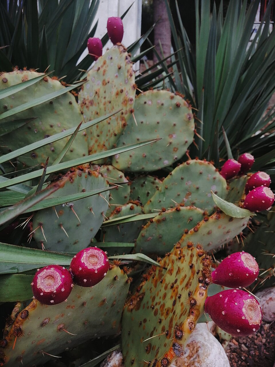 Гостевой дом Горный Воздух Ялта-51