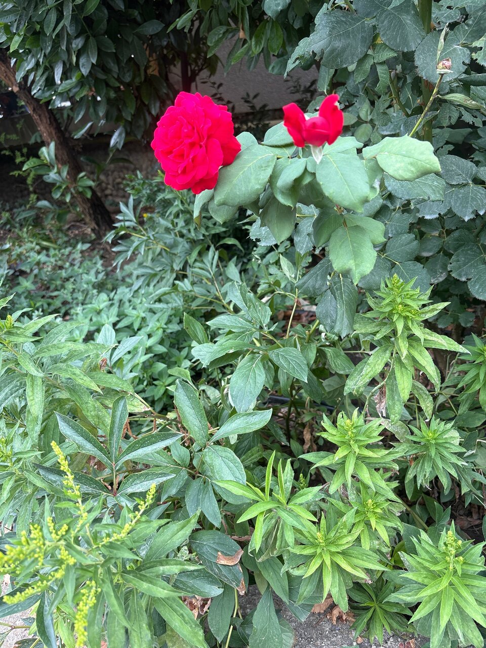 Гостевой дом Горный Воздух Ялта-193