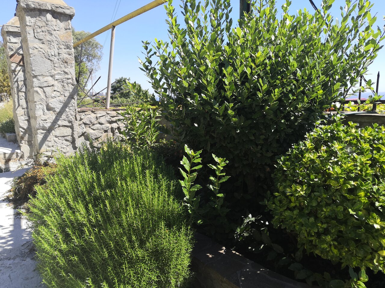 Гостевой дом Горный Воздух Ялта-31