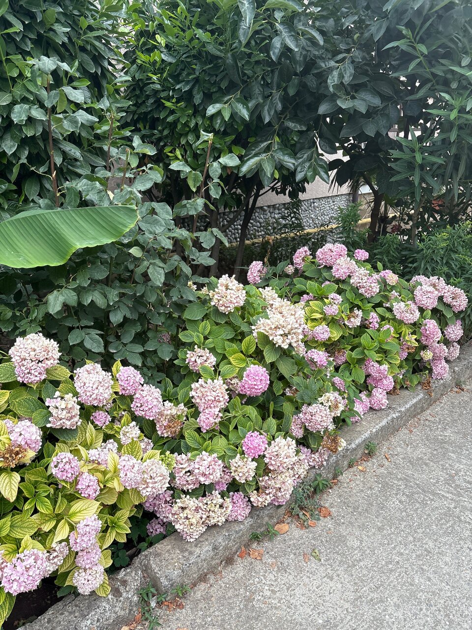 Гостевой дом Горный Воздух Ялта-186