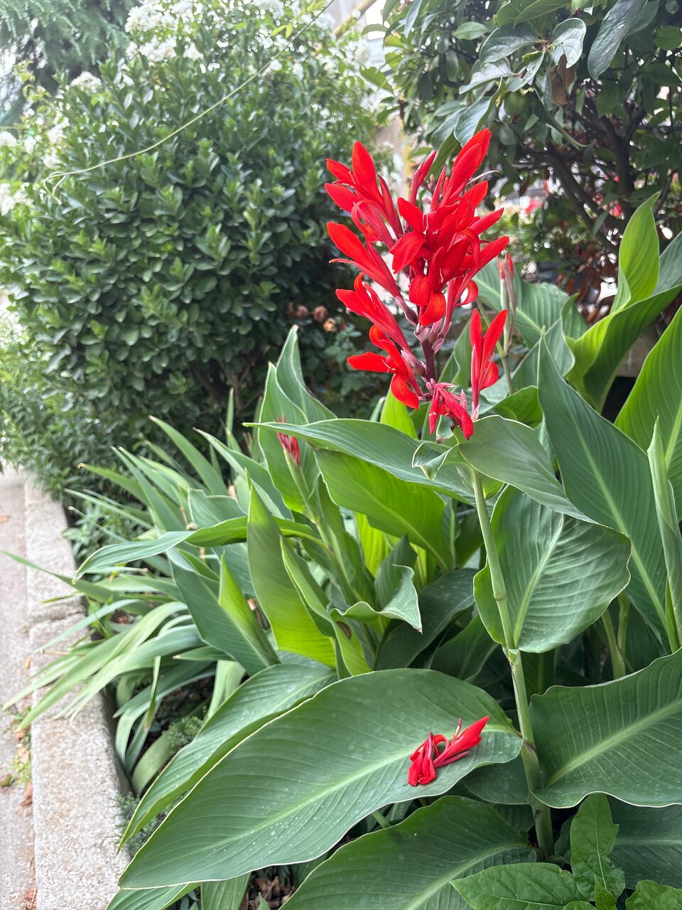 Гостевой дом Горный Воздух Ялта