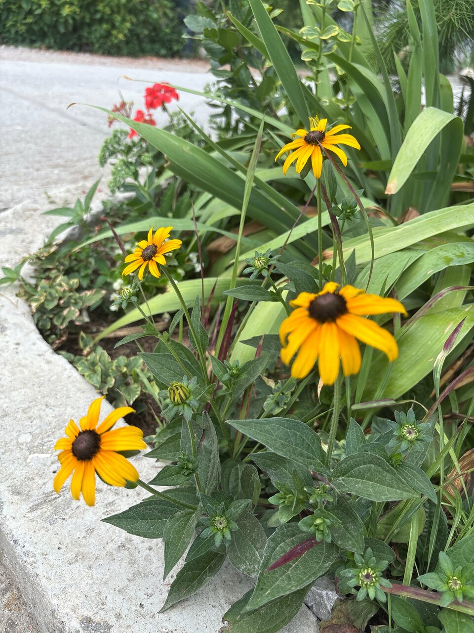 Гостевой дом Горный Воздух Ялта-183