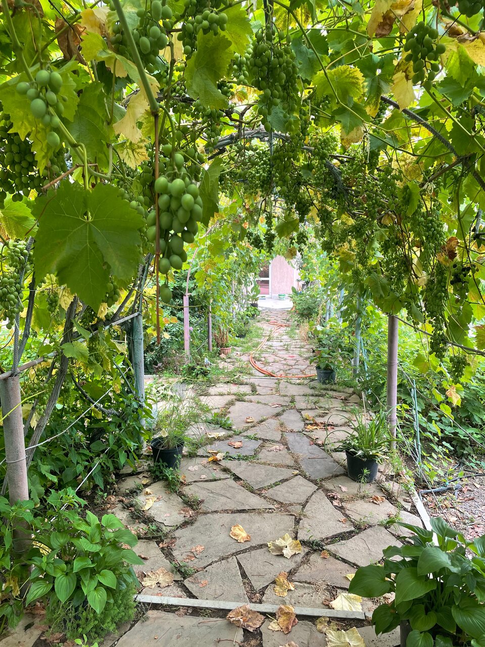 Гостевой дом Горный Воздух Ялта-34