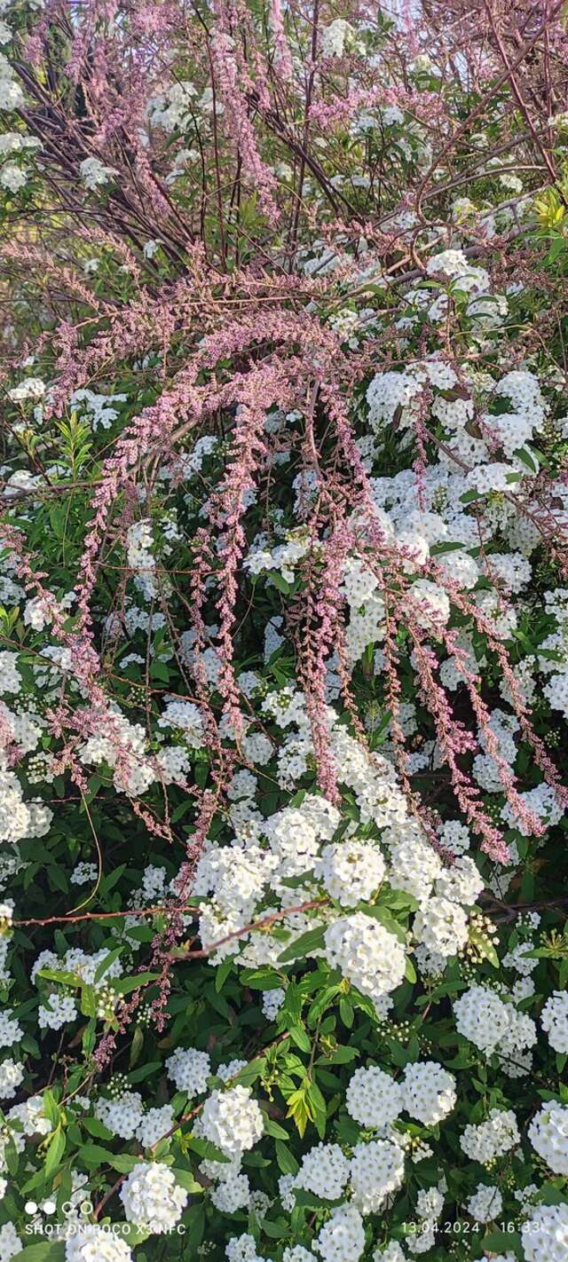 Гостевой дом Горный Воздух Ялта-52