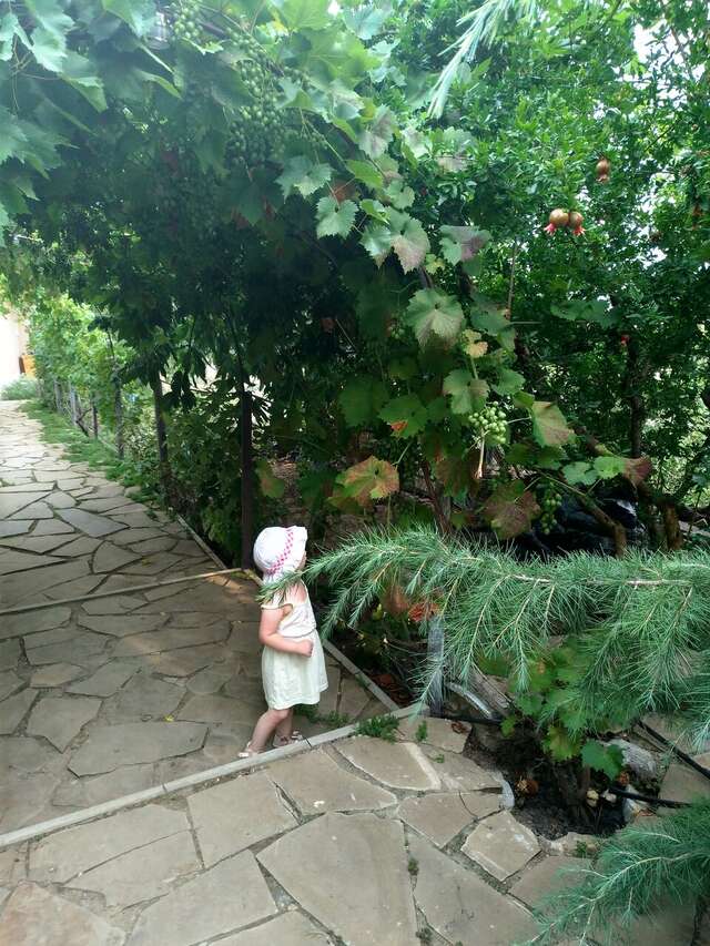 Гостевой дом Горный Воздух Ялта-53