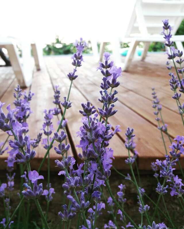 Гостевой дом Горный Воздух Ялта-47