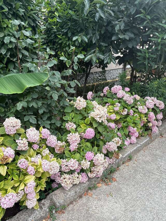 Гостевой дом Горный Воздух Ялта-185