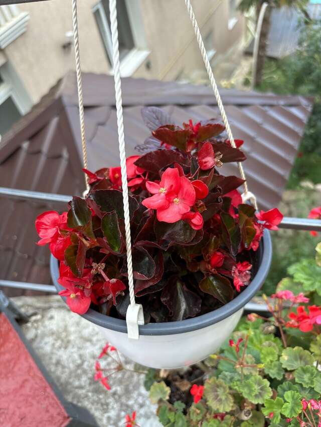 Гостевой дом Горный Воздух Ялта-183