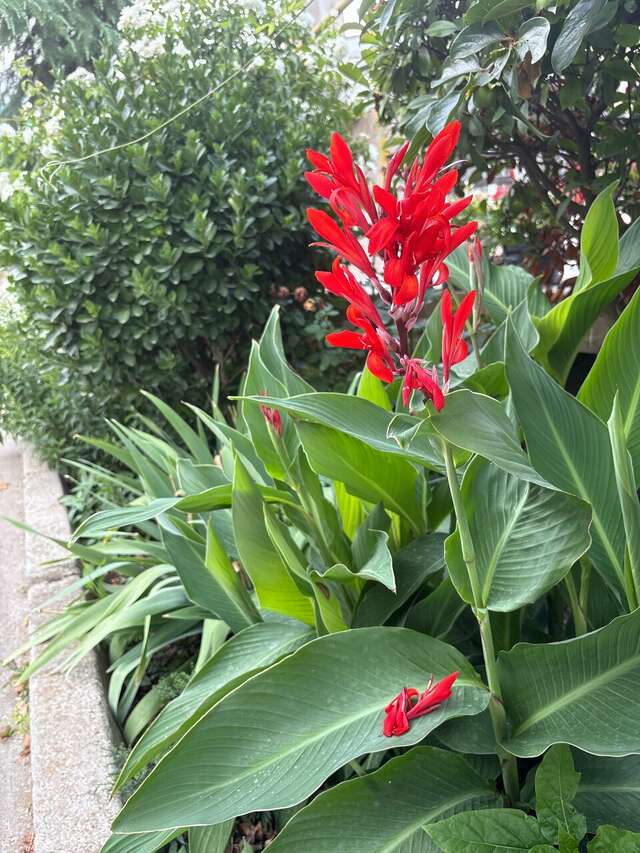Гостевой дом Горный Воздух Ялта-189